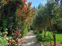 Riviera Bungalow Evleri Demre Ξενοδοχεία στην πόλη Demre