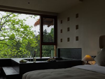 Tree Summer 13 · Summer Wood Forest Oxygen Healing Inn (Ya’an Bifen Gorge Branch)