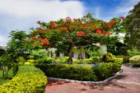 Tanzanite Beach Resort