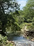 Xike Homestay (Donglinsi Branch) - Mountain view