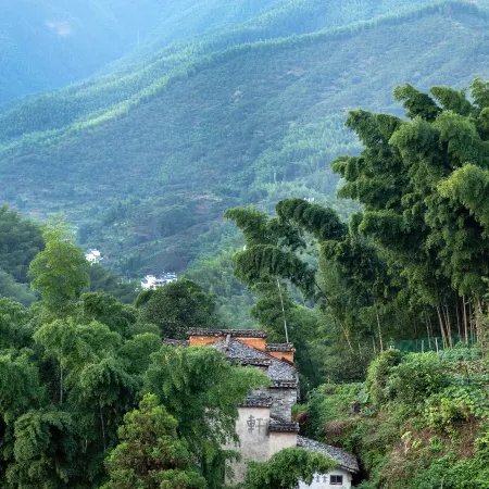 Bamboo Fragrance · Half-Abode by the Mountain Guesthouse