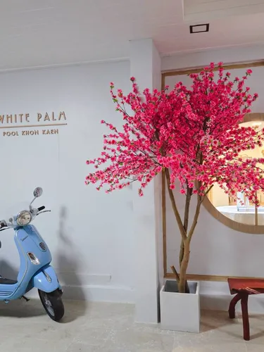 รูปภาพของThe White Palm Villa & Pool