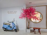 The White Palm Villa & Pool - Wi-Fi