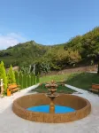Sonat Resort - Bares