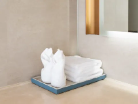 Hotel Manshi Meiyue Ordos