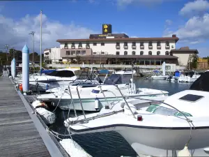 海岳溫泉度假飯店