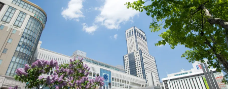 โรงแรมจูเนียร์ ทาวเวอร์ นิกโก ซัปโปโร