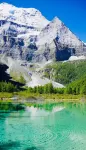 Daocheng Yading travel film hotel.
