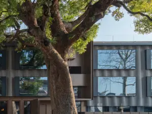 Popular Cultural Hotels in Linhai