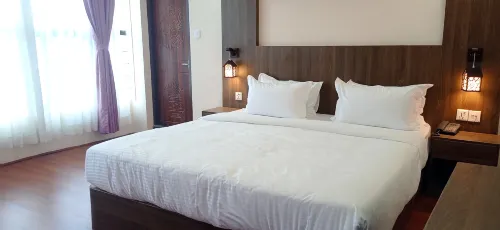 Hotel Aerolink Hotels in Kathmandu