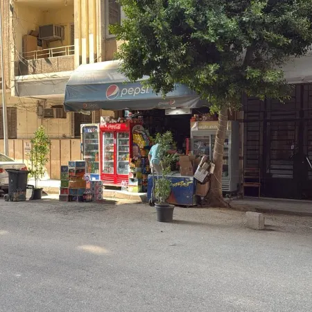 Villa Apartment Nile View in City Center