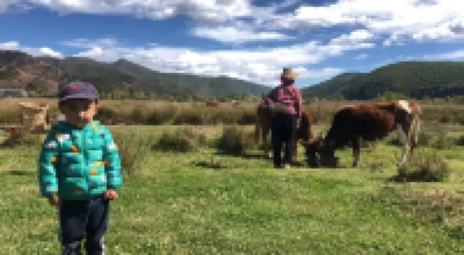 Dream by the Lakeside · Hillside Lakeview Boutique Stay