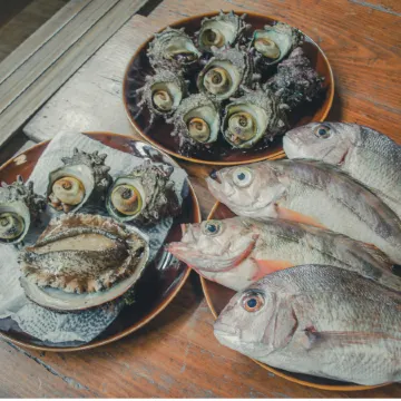 Sado Island Ocean View Kominka – Private Villa Annex, Sea Side Tsubaki