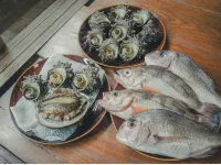 Sado Island Ocean View Kominka – Private Villa Annex, Sea Side Tsubaki Hotels in Sado