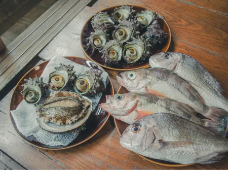 Sado Island Ocean View Kominka – Private Villa Annex, Sea Side Tsubaki