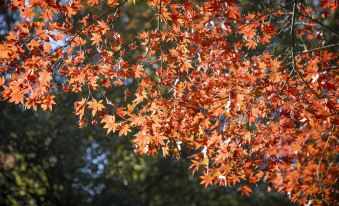 The Meixi Lake, Changsha Marriott Executive Apartments