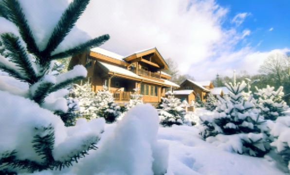 ChangBai Mountain Pine&Birch Villa