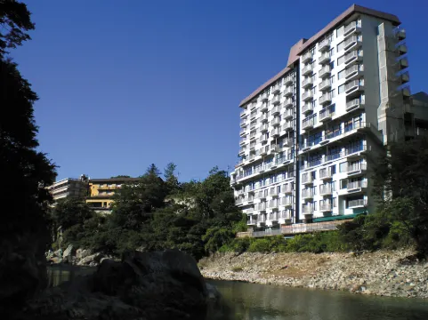 Hanasenkyo Onsen Hotel Kinugawa (Ryokan)