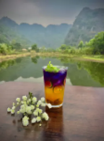 Lamia Bamboo Retreat Ninh Binh