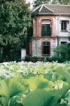 Wutong Xiangxie Hotel (South Dalian Branch, South Lake Scenic Area)