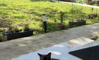 A-thip House @Pai