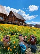 JIUYUE XINGYE HOMESTAY (BAHABA SCENIC AREA)