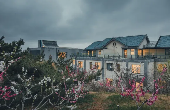 滙泉桃花島藝術度假民宿