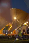 Three-Year-Old Camel · Luxury Wilderness Camp - رومانسي
