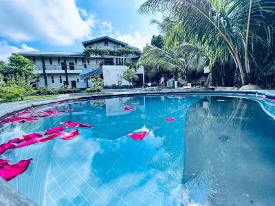 Qionghai Binglangli Hot Spring Homestay Hotels near Haiqi Ding'an Company Huangzhu Station