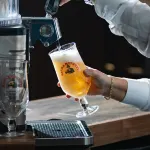The Scholar - bar
