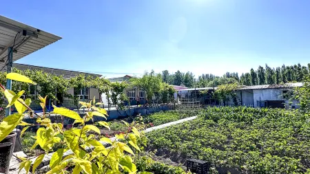 Meeting by chance in a rural courtyard homestay Отели в г. Хочен