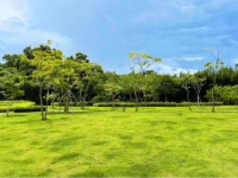 嘉禧國際酒店（寶安寶田一路地鐵站店） 鄰近西鄉寶安客運中心的酒店