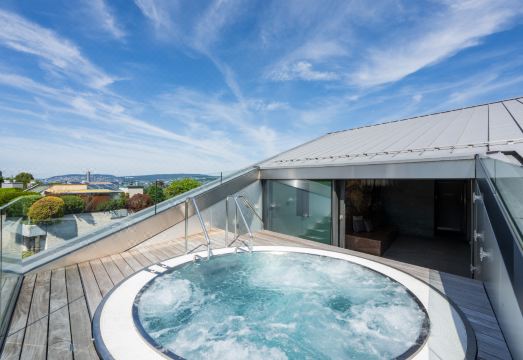 취리히 호수 뷰