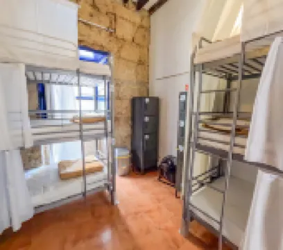 Ashavana Nest Hostel Hotels in 