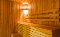 馬尼拉薩沃伊酒店，靠近尼諾伊·阿基諾國際機場3號客運大樓 - SPA