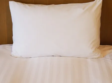 Hotel Kinoshita Akita-Oga-Ekimae