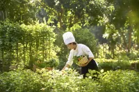 Nha Trang Marriott Resort & Spa, Hon Tre Island Hotel in zona Net 81 Internet Service