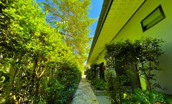 Golden Palm Resort