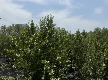 Ribera Cloud Hotel (Xi'an Datang Everbright City Big Wild Goose Pagoda Subway Station Branch) Отели рядом с достопримечательностью «Big Wild Goose Pagoda»