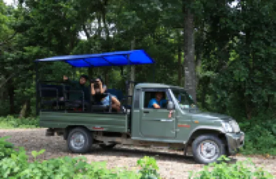 Royal Tiger Luxury Resort