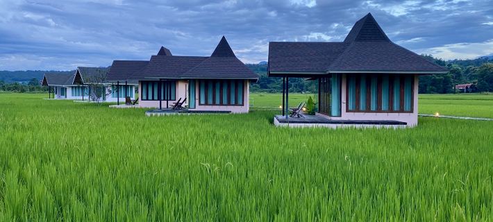 บ้านผ่อดอยกอยดาว โรงแรมในอำเภอ เชียงดาว
