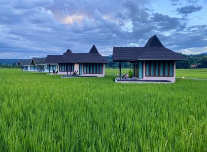 บ้านผ่อดอยกอยดาว