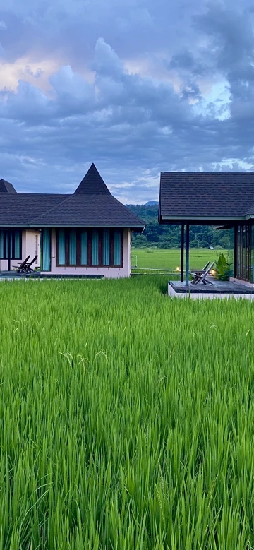 รูปภาพของบ้านผ่อดอยกอยดาว