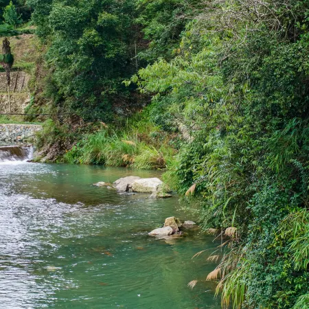 qinglanju