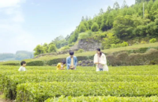 Ooedo Onsen Monogatari Ureshinokan (Old: Yukai Resort Premium Ureshinokan) Hotels in Ureshino