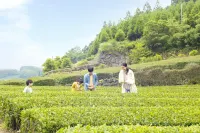 Ooedo Onsen Monogatari Ureshinokan (Old: Yukai Resort Premium Ureshinokan)