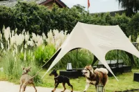 麗江瑞息·雪山樽|日照金山雪山全景MountianTrip度假湯池香氛飯店 北嶽廟附近的飯店