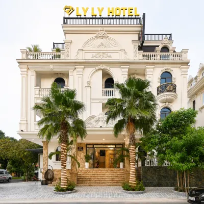 Ly Ly Luxury Hotel Hotels near Binh Tan District