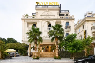 Ly Ly Luxury Hotel Hotels near Binh Tan District