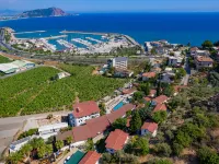 Illusion Beach ClubHotel Only Adult Hoteles cerca de Playa Kleopatra